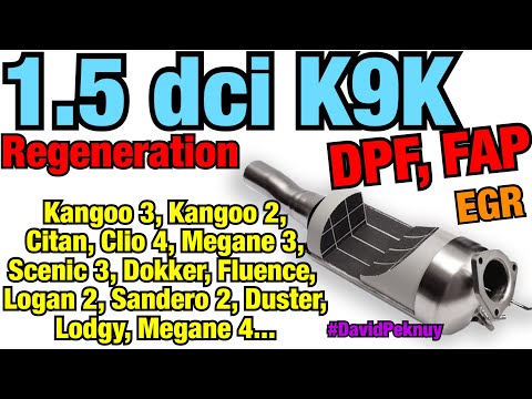 Видео: Сажевый фильтр Рено Кенго 2. Кенго 3. Ситан. Меган 3. Сценик 3... 1.5 dci DPF regeneration vs EGR