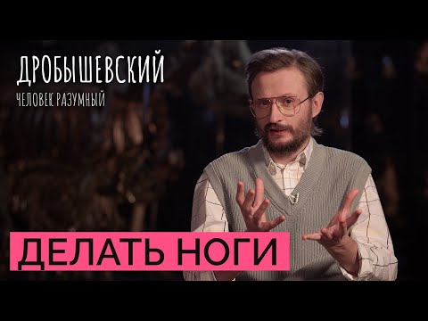 Видео: Как наши предки перемещались в пространстве // Дробышевский. Человек разумный