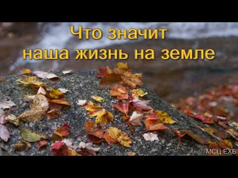 Видео: "Что значит наша жизнь на земле". Г. В. Костюченко. МСЦ ЕХБ