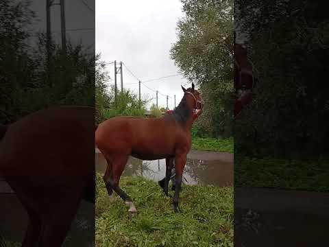 Видео: 30 октября 2025 г.