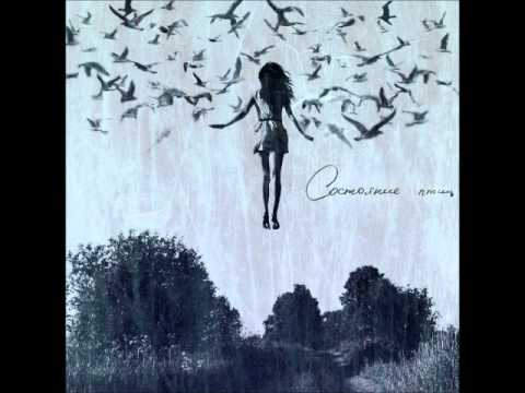 Видео: состояние птиц - Self-titled