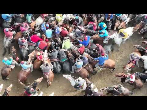 Видео: Ала Бука улак додонун додосу болду