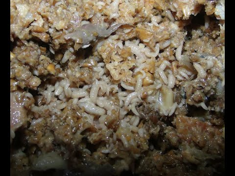 Видео: Сколько дней длится инкубация  яиц черной львинки?