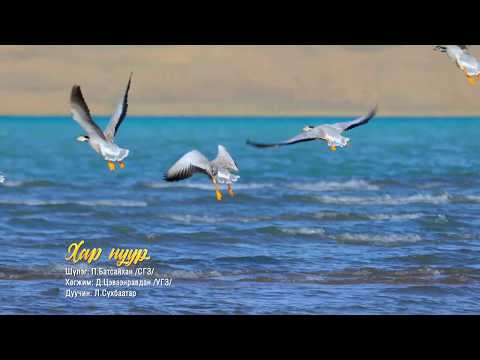 Видео: Khar nuur - Sukhbaatar Хар нуур - Сүхбаатар