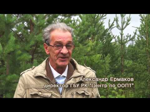 Видео: Документальный фильм "Территории особого значения"