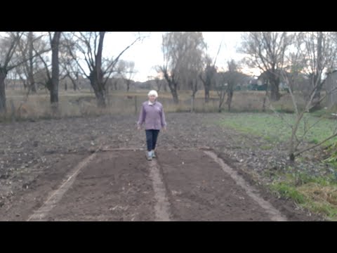 Видео: Готовлю грядки под озимый лук, пеку шарлотку, вышиваю броши 