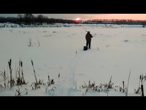 Видео: Зима зимой, а рыбалка по распорядку! Чепца. Пробиваем дороги после пурги.