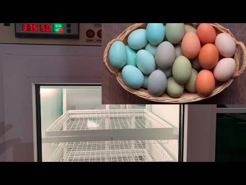 Видео: Инкубатор В.Коробкова сборка и подготовка к работе. Инкубатор на 400 яиц.