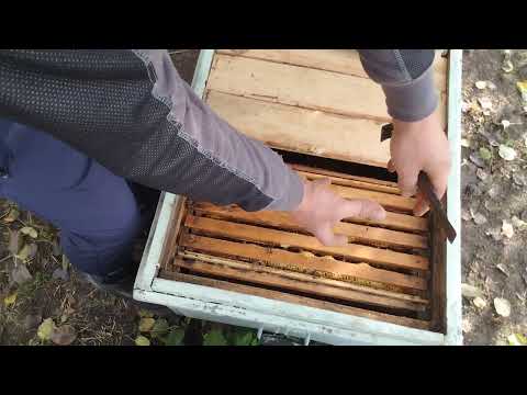 Видео: Нежелательная ошибка при сборке гнезда 