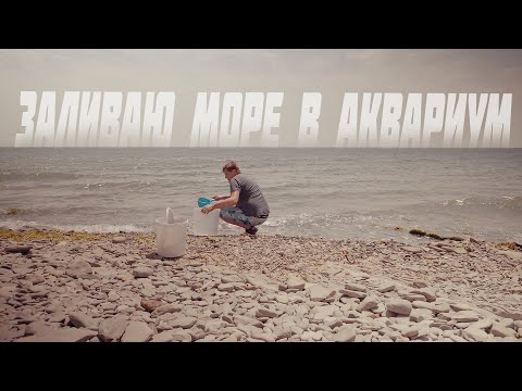 Видео: Vlog 24-1 (Заливаю море в аквариум)