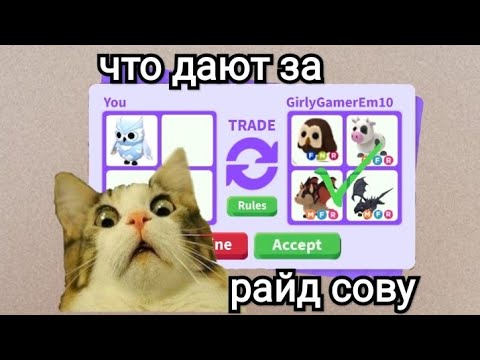 Видео: ШОК!ЧТО ДАЮТ ЗА РАЙД СНЕЖНУЮ СОВУ?😳😱