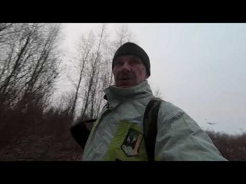 Видео: Рыбалка на р.Уксунйоки на спиннинг в -5°