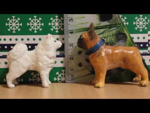 Видео: Как я делала первый раз Французкого бульдога/Процесс