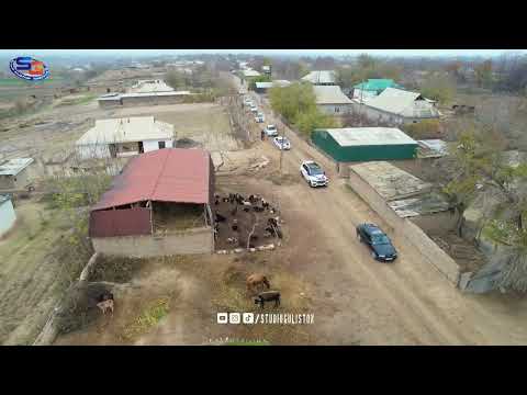 Видео: 7 декабря 2024 г.