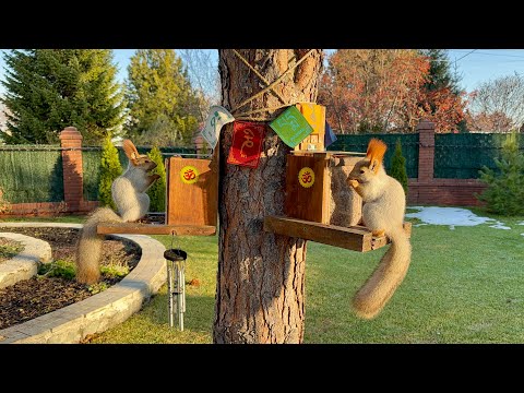 Видео: Family dinner for three.Семейный ужин втроём.