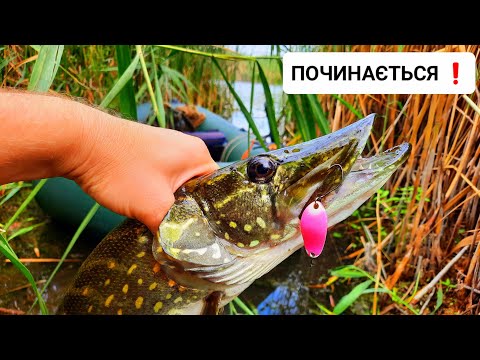 Видео: ✅️ БЕСТСЕЛЕР ПОВЕРТАЄТЬСЯ ❗️ УЛОВИСТА БЛЕШНЯ по ВИСОКІЙ ТРАВІ ❗️ Щука та Окунь ВЛІТКУ 2025