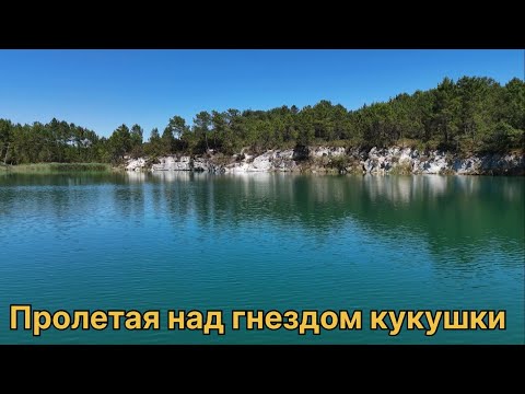 Видео: DJI MINI 4 PRO. Пролетая над гнездом кукушки. 
