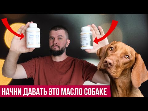 Видео: Лучшие масла для собак