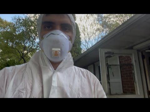 Видео: Разбираю дом под флип в США. Вонь и грязь. Вот так живут американцы 