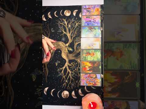 Видео: Вы совсем не ждете❤️‍🔥🥰🍀🎉🕊️💫