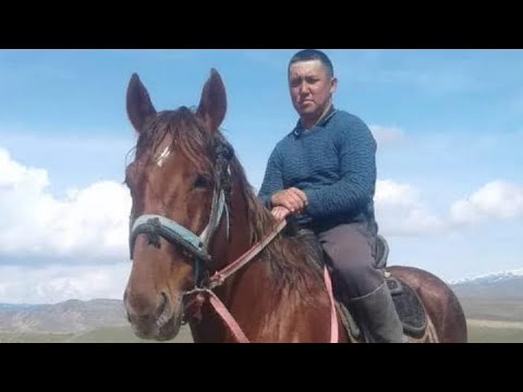 Видео: Чон Калланин баласы вотсап:+7985-935-93-47