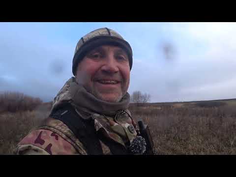 Видео: Охота на зайца с увлекательной историей
