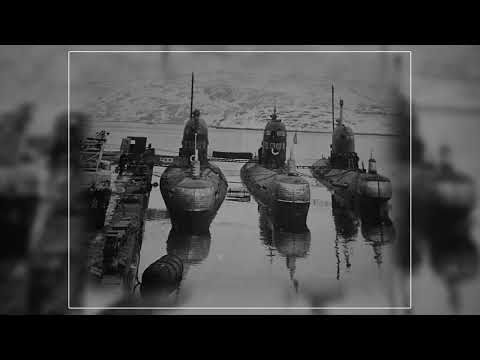 Видео: Лиинахамари