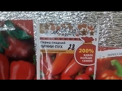 Видео: Обзор перцев на 2025 год