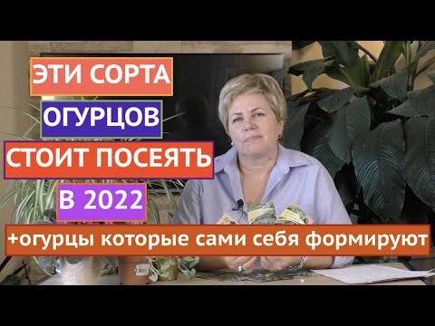 Видео: НЕ ПРОПУСТИТЕ ЭТИ СОРТА ОГУРЦОВ! ПРЯМОЙ ЭФИР ПО ОГУРЦАМ!