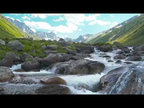 Видео: Забур 5 бөлүмдүн негизнде Эртең мененки сыйынуу