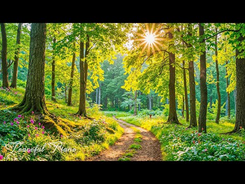 Видео: Целительная музыка для внутреннего покоя. Снятие стресса. Отличная расслабляющая музыка для сна, ума