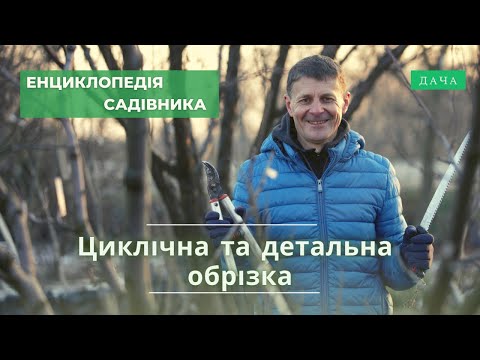Видео: Циклічна та Детальна Обрізка. Як Впливати на Плодоношення Дерев?