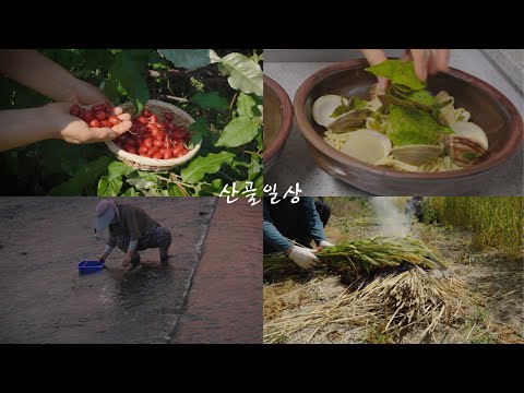 Видео: Сезонные блюда в Корее сейчас/Корейский чеснок/Работа в корейской деревне