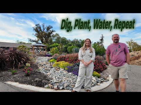 Видео: Вы не поверите, где мы разбили лагерь @DigPlantWaterRepeat