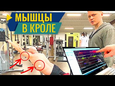 Видео: Какие Мышцы работают в плавании кролем?