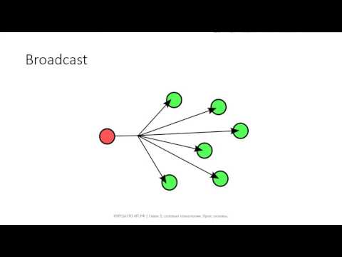 Видео: ✅ Глава 1. 02 Основы