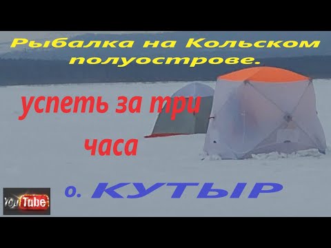 Видео: Рыбалка на Кольском полуострове. Утренняя рыбалка на озере Кутыр.