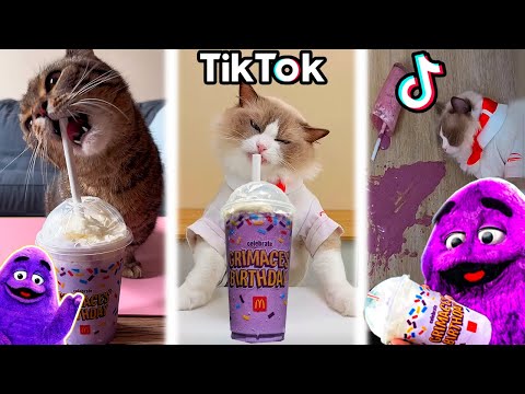 Видео: ГРИМАС ШЕЙК И КОТИКИ! УГАРНЫЕ ТИК ТОК ТРЕНДЫ! - GRIMACE SHAKE Tik Tok Trends