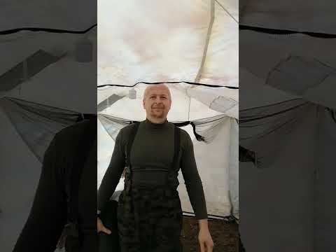 Видео: Наша палатка Алтай кемп. После 3х лет использования.