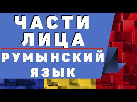 Видео: Румынский Язык: Части Лица