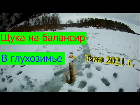 Видео: Щука на балансир в глухозимье. Зимняя рыбалка 2021 г. Январская щука.