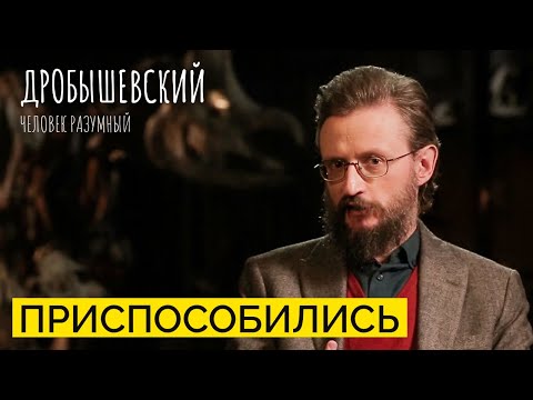 Видео: Как человек адаптировался к разным климатическим зонам? // Дробышевский. Человек разумный