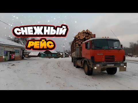 Видео: По снегу в лес | накидываем цепи на колеса | везем лес