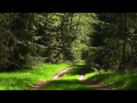 Видео: Покаяние-всё больше хочется тиши. о.Александр Старостенко.