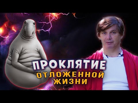 Видео: Проклятие отложенной жизни | Как избавиться от синдрома отложенной жизни