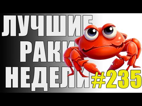 Видео: ЛРН выпуск №235 🤪 БЕСПОЛЕЗНЫЕ ПОДСАДКИ и ТАНКОВАЯ МНОГОНОЖКА [Лучшие Раки Недели]