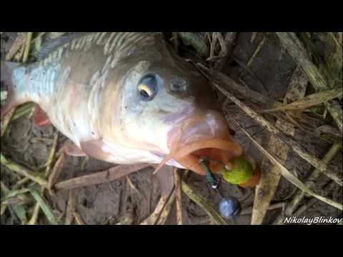 Видео: Платная рыбалка в Актобе, Черноводская плотина 2018г