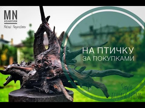 Видео: #Аквариумистика.  На Птичку за покупками.