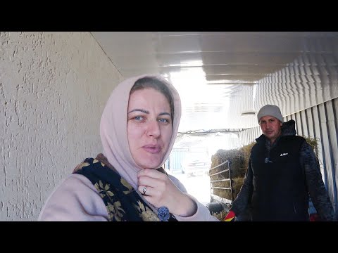 Видео: КАЗАХСТАН🇰🇿 У НАС ПЕРВЫЕ ЗАМОРОЗКИ🥶ХЕ ИЗ РЫБЫ. ЗАПАСЛИСЬ СОЛОМОЙ. Равиль и Света Жизнь в деревне