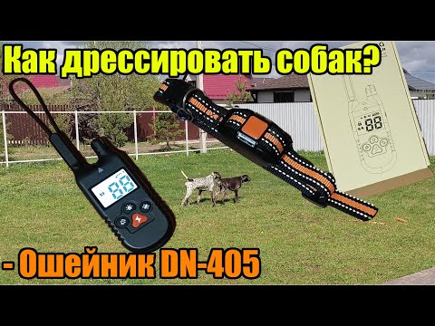 Видео: Ошейник для дрессировки. Обзор электроошейника DN-405 для собак!